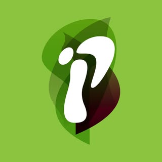 Industrial Plasters logo