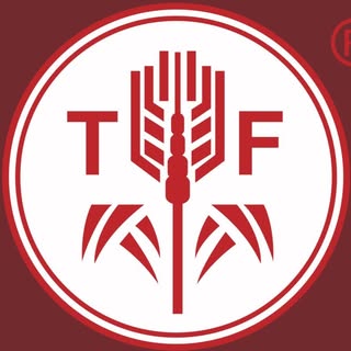 天府國際 T F International logo