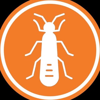 The Stonefly logo