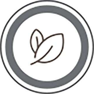 Well Life logo