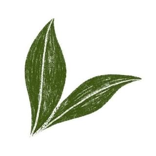 HappySoaps Partners (NL) logo