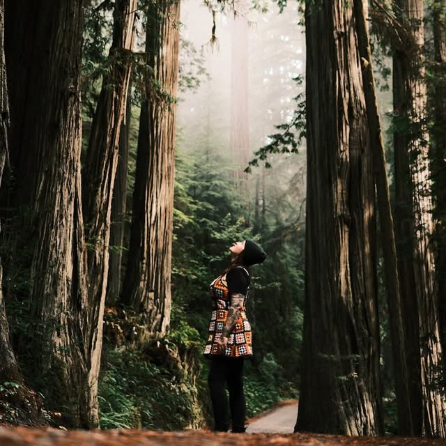 Northern Exposure Art logo