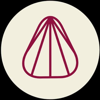 Southside Guitars logo