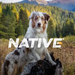 Native Dog Food logo