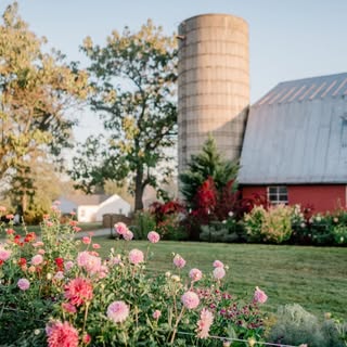 Hope Flower Farm logo