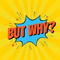 ButWhy? logo