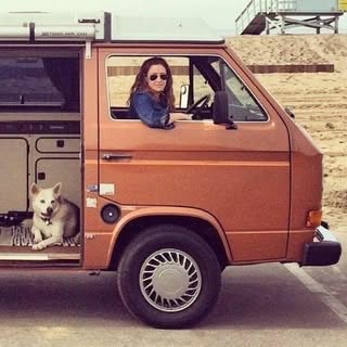 camper general store logo