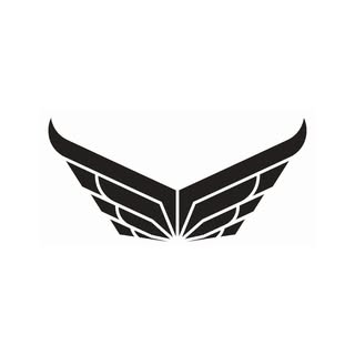 Strong Eagle Gymwear logo