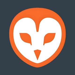 Barn Owl Tech logo