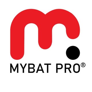 MyBat Pro logo