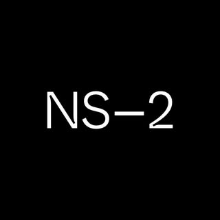 NS2 STUDIO logo