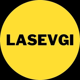 www.lasevgi.com logo