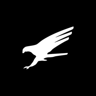 Falcone Wear logo