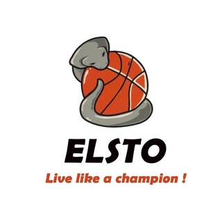 Elite Store logo