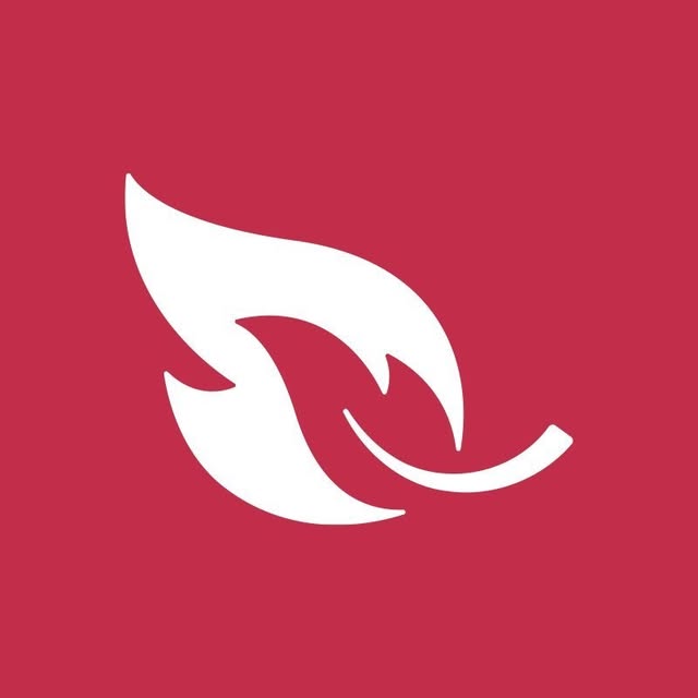 Baleaf Sports logo
