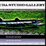 Barracuda Studio Gallery Design and Lifestyle Store logo