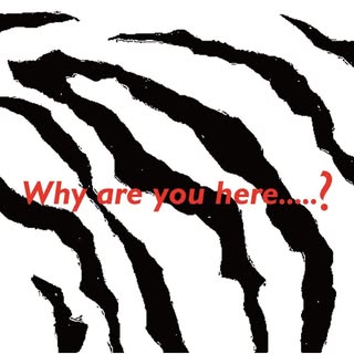 Why are you here? logo