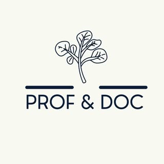 Prof & Doc logo