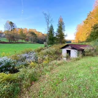 Radlmann Family Ranch logo