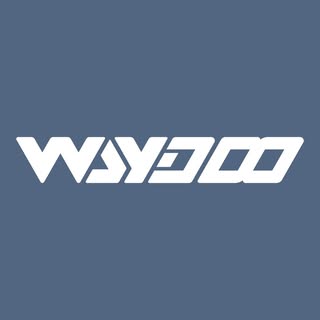 waydoous logo