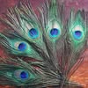 Moonlight Feather logo