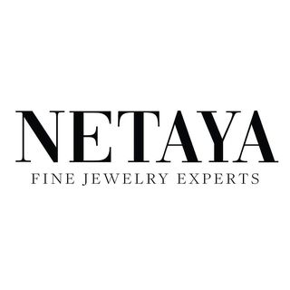 Netaya logo