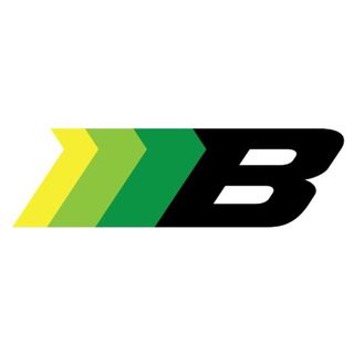 Borg Motorsports logo