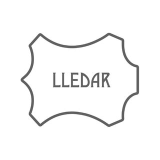 Lledar logo