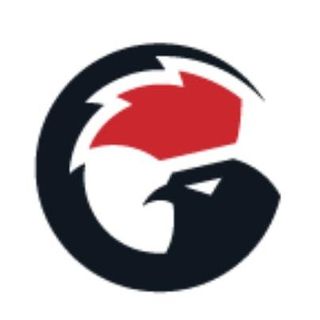 GameSir Official Store logo