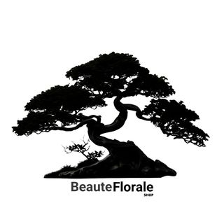 Beaute Florale logo