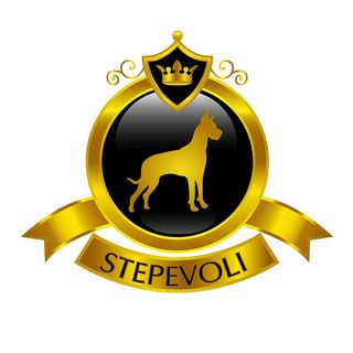 stepevoli logo