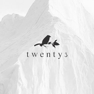 Twenty3 logo