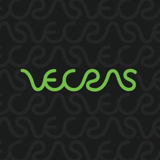 VecRas logo