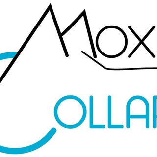 Moxie Collars logo