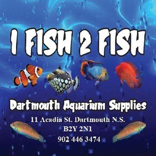 1 Fish 2 Fish Dartmouth logo