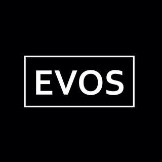 Evos Boutiques logo