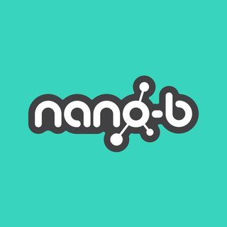 Nano-b logo