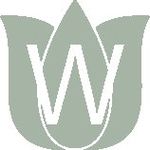 De Winter bloemen logo