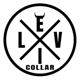 EvilCollar logo