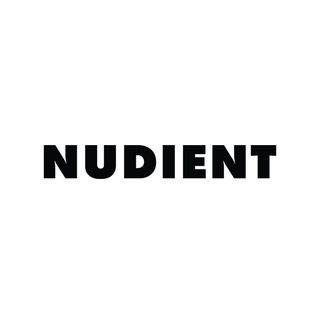 NUDIENT logo