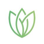 Aloe Infusion logo