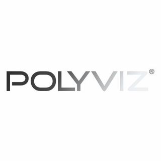 POLYVIZ logo