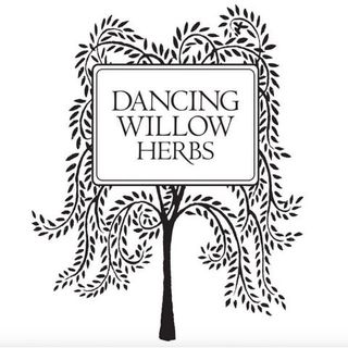 Dancing Willow Herbs logo