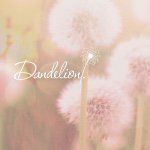 Dandelion logo