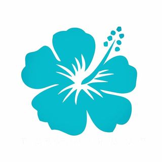 Hawaiian Healing Skin Care logo