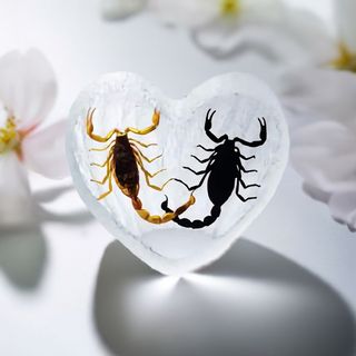Real Nature Gifts logo
