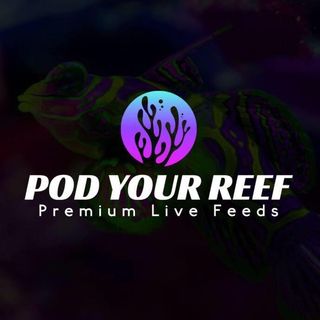 Pod Your Reef logo