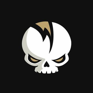 SkullVibe logo