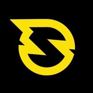 Spikeball Store logo