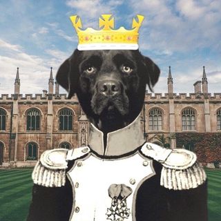 Van Der Muffin's Jewels logo